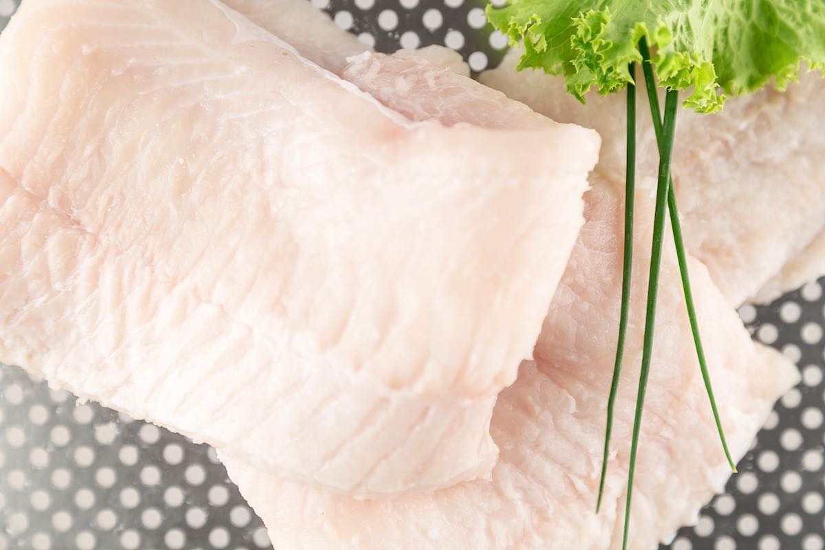 Wolf Fish Fillets Fresh Striped Wolffish filets, skin off